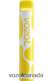 VOZOL JOYGO 600 20J0FJ376 - VOZOLl Vape Flavours BANANA ICE