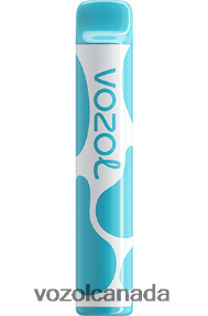 VOZOL JOYGO 600 20J0FJ377 - VOZOLl Vape Review BLUEBERRY SOUR RASPBERRY