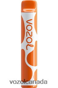 VOZOL JOYGO 600 20J0FJ379 - VOZOLl Vape Online COFFEE