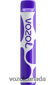 VOZOL JOYGO 600 20J0FJ381 - VOZOLl Canada GRAPE ICE