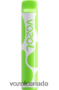 VOZOL JOYGO 600 20J0FJ382 - VOZOLl Vape Toronto KIWI PASSION FRUIT GUAVA