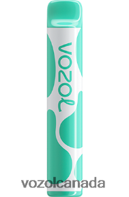 VOZOL JOYGO 600 20J0FJ387 - VOZOLl Vape Review MENTHOL