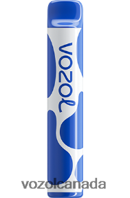 VOZOL JOYGO 600 20J0FJ390 - VOZOLl Vape Price BLUEBERRY STORM