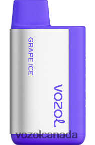 VOZOL TIGO 600 20J0FJ367 - VOZOLl Vape Review GRAPE ICE