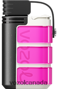 VOZOL GEAR 4000C/6000 20J0FJ320 - VOZOLl Vape Price ROSE PINK