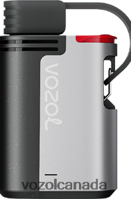 VOZOL GEAR 4000C/6000 20J0FJ322 - VOZOLl Vape Toronto BLUE RAZZ ICE