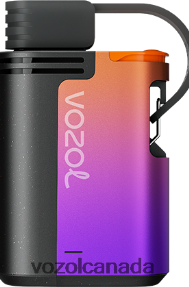 VOZOL GEAR 4000C/6000 20J0FJ324 - VOZOLl Vape Canada FOREST BERRY STORM