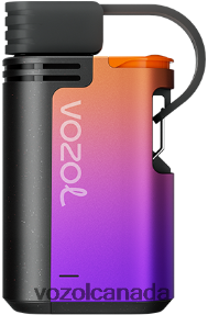 VOZOL GEAR 4000C/6000 20J0FJ325 - VOZOLl Vape Near Me GRAPE ICE