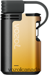 VOZOL GEAR 4000C/6000 20J0FJ326 - VOZOLl Vape Flavours KIWI PASSION FRUIT GUAVA