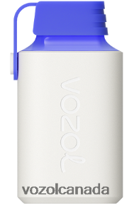 VOZOL GEAR 600 20J0FJ346 - VOZOLl Vape Flavours BLUE RAZZ LEMON