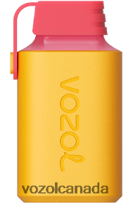 VOZOL GEAR 600 20J0FJ351 - VOZOLl Canada KIWI PASSION FRUIT GUAVA