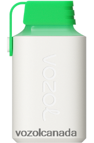 VOZOL GEAR 600 20J0FJ352 - VOZOLl Vape Toronto LEMON MOJITO