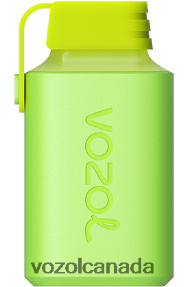 VOZOL GEAR 600 20J0FJ354 - VOZOLl Vape Canada MENTHOL