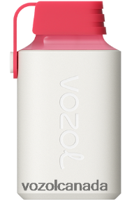 VOZOL GEAR 600 20J0FJ357 - VOZOLl Vape Review STRAWBERRY ICE CREAM