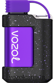 VOZOL GEAR 7000 20J0FJ330 - VOZOLl Vape Price ALOE GRAPE