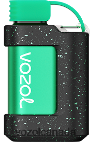 VOZOL GEAR 7000 20J0FJ332 - VOZOLl Vape Toronto COOL MINT