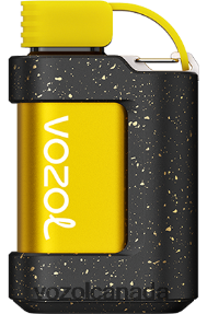 VOZOL GEAR 7000 20J0FJ335 - VOZOLl Vape Near Me KIWI PASSION FRUIT GUAVA