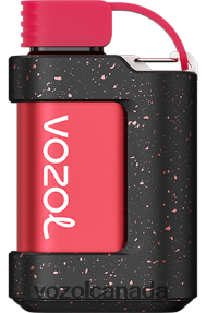 VOZOL GEAR 7000 20J0FJ336 - VOZOLl Vape Flavours LYCHEE GUAVA WATERMELON