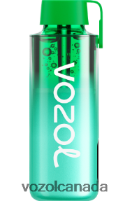 VOZOL NEON 10000 20J0FJ229 - VOZOLl Vape Online MIAMI MINT