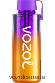 VOZOL NEON 10000 20J0FJ235 - VOZOLl Vape Near Me MIXED BERRIES