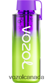 VOZOL NEON 10000 20J0FJ237 - VOZOLl Vape Review RASPBERRY WATERMELON