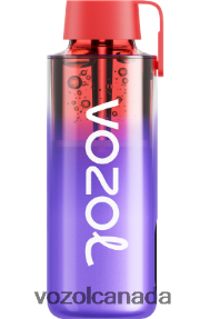 VOZOL NEON 10000 20J0FJ242 - VOZOLl Vape Toronto BLACKBERRY ICE