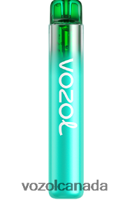 VOZOL NEON 800 20J0FJ246 - VOZOLl Vape Flavours BLUEBERRY SOUR RASPBERRY