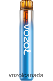 VOZOL NEON 800 20J0FJ270 - VOZOLl Vape Price Forest Berry Storm