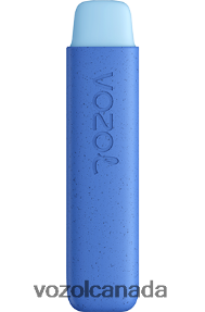 VOZOL STAR 550 20J0FJ140 - VOZOLl Vape Price BLUE RAZZ ICE