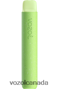 VOZOL STAR 600 20J0FJ100 - VOZOLl Vape Price WATERMELON BUBBLE GUM