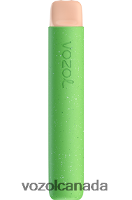 VOZOL STAR 600 20J0FJ101 - VOZOLl Canada WATERMELON ICE