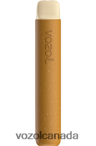 VOZOL STAR 600 20J0FJ76 - VOZOLl Vape Flavours CHERRY COLA ICE
