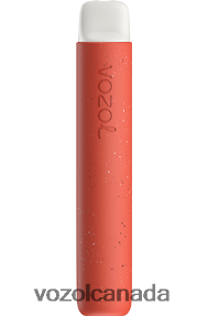 VOZOL STAR 600 20J0FJ78 - VOZOLl Vape Sale CRANBERRY LEMON ICE