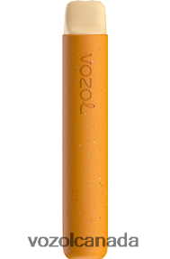 VOZOL STAR 600 20J0FJ82 - VOZOLl Vape Toronto ICED MANGO