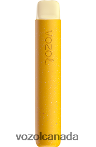 VOZOL STAR 600 20J0FJ84 - VOZOLl Vape Canada LEMON KIWI PASSION FRUIT