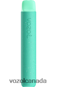 VOZOL STAR 600 20J0FJ92 - VOZOLl Vape Toronto SPEARMINT