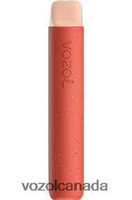 VOZOL STAR 600 20J0FJ95 - VOZOLl Vape Near Me STRAWBERRY ICE CREAM