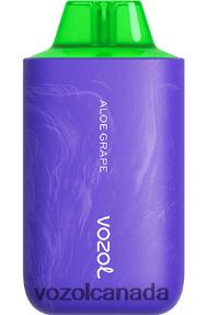 VOZOL STAR 6000/8000 V2 20J0FJ54 - VOZOLl Vape Canada ALOE GRAPE