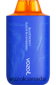 VOZOL STAR 6000/8000 V2 20J0FJ56 - VOZOLl Vape Flavours BLUEBERRY SOUR RASPBERRY