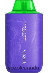 VOZOL STAR 6000/8000 V2 20J0FJ59 - VOZOLl Vape Online FOREST BERRY STORM