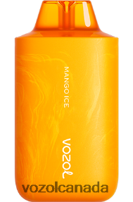 VOZOL STAR 6000/8000 V2 20J0FJ62 - VOZOLl Vape Toronto MANGO ICE