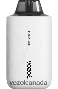 VOZOL STAR 6000/8000 V2 20J0FJ67 - VOZOLl Vape Review TOBACCO