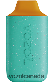 VOZOL STAR 6000 20J0FJ102 - VOZOLl Vape Toronto CEDAR POMELO