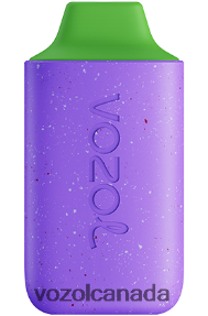 VOZOL STAR 6000 20J0FJ103 - VOZOLl Sale ALOE GRAPE