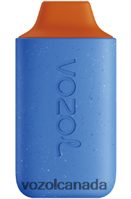 VOZOL STAR 6000 20J0FJ107 - VOZOLl Vape Review BLUEBERRY RASPBERRY CHERRY