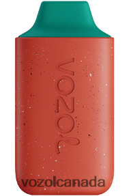 VOZOL STAR 6000 20J0FJ111 - VOZOLl Canada DRAGON FRUIT WATERMELON