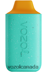 VOZOL STAR 6000 20J0FJ114 - VOZOLl Vape Canada HONEYDEW PUNCH