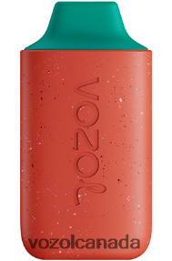 VOZOL STAR 6000 20J0FJ117 - VOZOLl Vape Review LYCHEE GUAVA WATERMELON