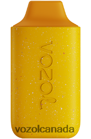 VOZOL STAR 6000 20J0FJ119 - VOZOLl Vape Online MANGO PEACH PINEAPPLE