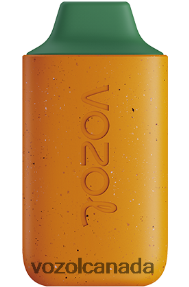 VOZOL STAR 6000 20J0FJ120 - VOZOLl Vape Price MANGO PEACH WATERMELON